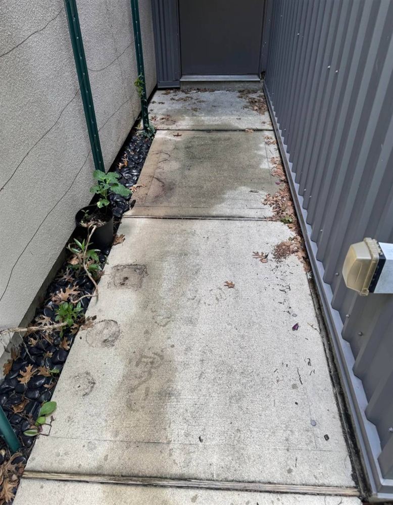 Walkway before cleaning
